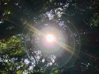 「これ」が５次元の入口