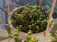 エネルギーを回収して、ありがとうで閉じる