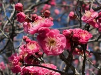 私たちの共通課題