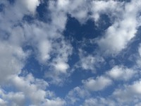 シフト実践講座５回目・レポートとご感想②